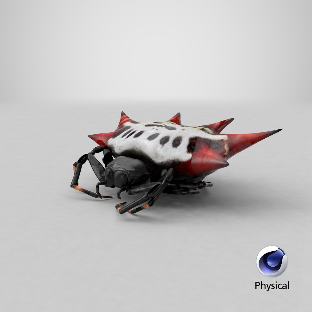 3D gasteracantha spider model https://p.turbosquid.com/ts-thumb/R6/8eu9WT/QU/stemcell_cinema_4d_physical_render/png/1651054184/1920x1080/fit_q87/9930b931f66c2fac92e5c501d46f6d48e530d150/stemcell_cinema_4d_physical_render.jpg