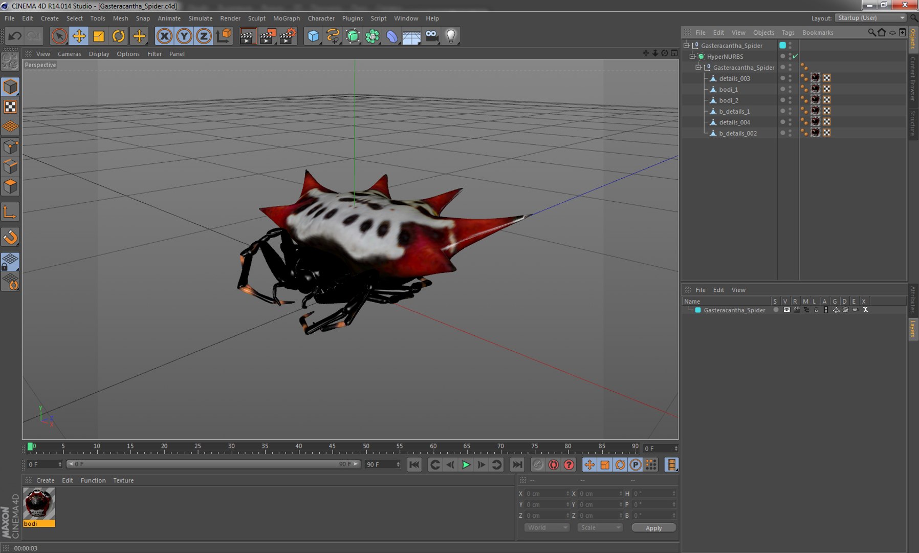 3D gasteracantha spider model https://p.turbosquid.com/ts-thumb/R6/8eu9WT/ibjC9LcV/gasteracanthaspider3dmodel016/jpg/1497289709/1920x1080/fit_q87/447edca0dddafc56a32e5d3dddc8689e1e7afc06/gasteracanthaspider3dmodel016.jpg