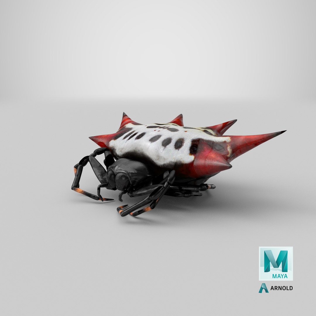3D gasteracantha spider model https://p.turbosquid.com/ts-thumb/R6/8eu9WT/lT/stemcell_maya_arnold_render/png/1651054195/1920x1080/fit_q87/648f5d29b0086ae7dddb37e874af61373089bdb2/stemcell_maya_arnold_render.jpg