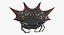 Gasteracantha Spider 3D Model
