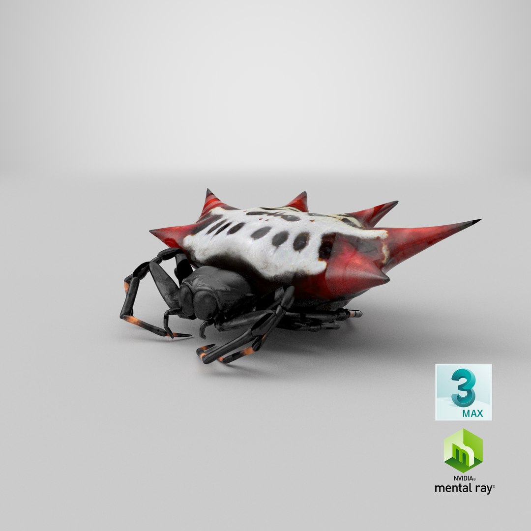 3D gasteracantha spider model https://p.turbosquid.com/ts-thumb/R6/8eu9WT/uO/stemcell_max_mental_ray_render/png/1651054192/1920x1080/fit_q87/16c4a1158f94e23a7f33552c863aed7b567066e2/stemcell_max_mental_ray_render.jpg
