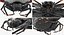 Gasteracantha Spider 3D Model