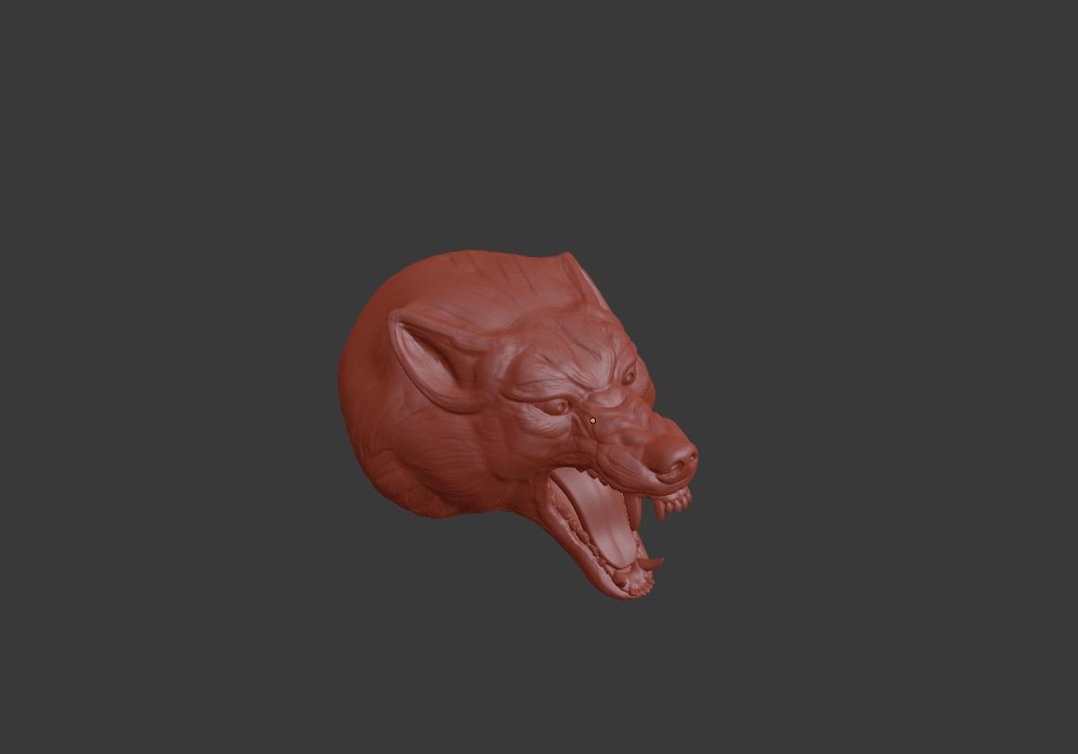 3D head wolf https://p.turbosquid.com/ts-thumb/R6/IjnH5k/A9k4A49j/screenshot_20180521_224629/jpg/1527759028/1920x1080/fit_q87/b7307b1d94aa8ec3092d02dbea6bdcc44366c282/screenshot_20180521_224629.jpg