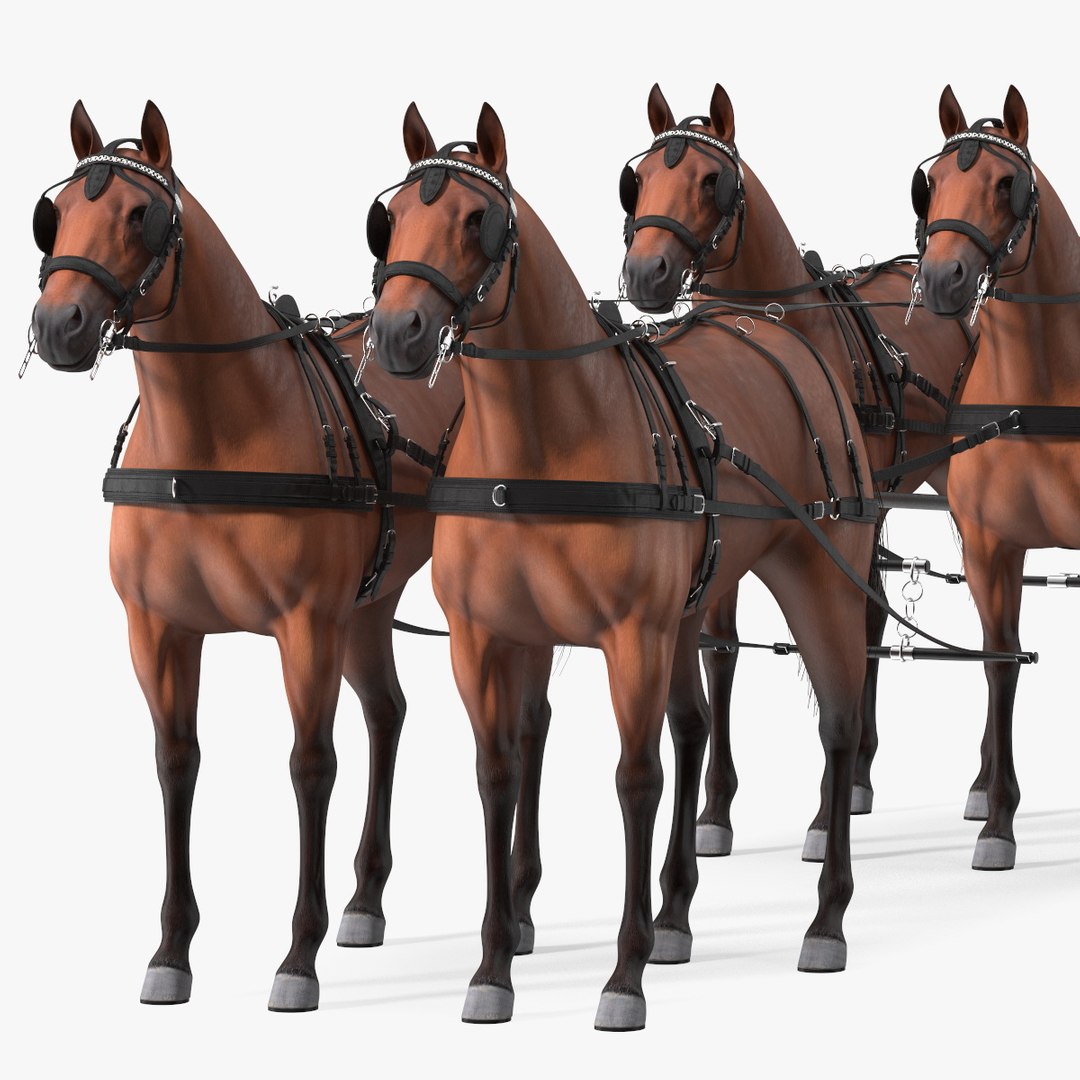 Team of Four Breast Collar Harness 3D https://p.turbosquid.com/ts-thumb/R6/LkKTYi/wN/team_of_four_breast_collar_harness_001/jpg/1743047764/1920x1080/fit_q87/bc74de6fa3bb7eb0357f9f4d6f043a85c1f4ee8e/team_of_four_breast_collar_harness_001.jpg