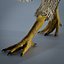 Dodo Rigged Animated