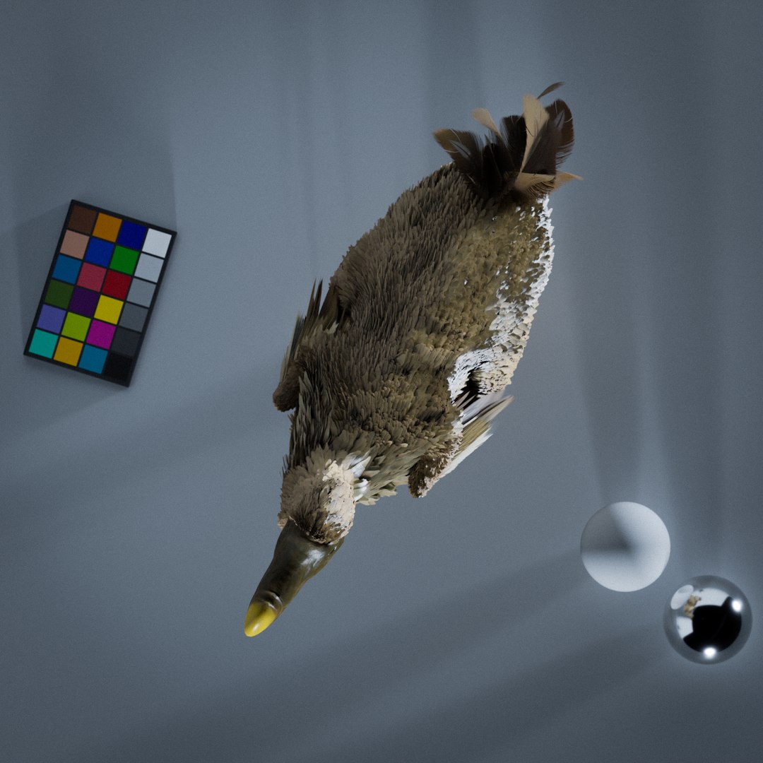 Dodo Rigged Animated 3D Model model https://p.turbosquid.com/ts-thumb/R6/NJw32V/eL/pose7/png/1707221867/1920x1080/fit_q87/ccb3dd05a3d2d1a125127006e0e3108b3c527e0a/pose7.jpg