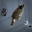 Dodo Rigged Animated