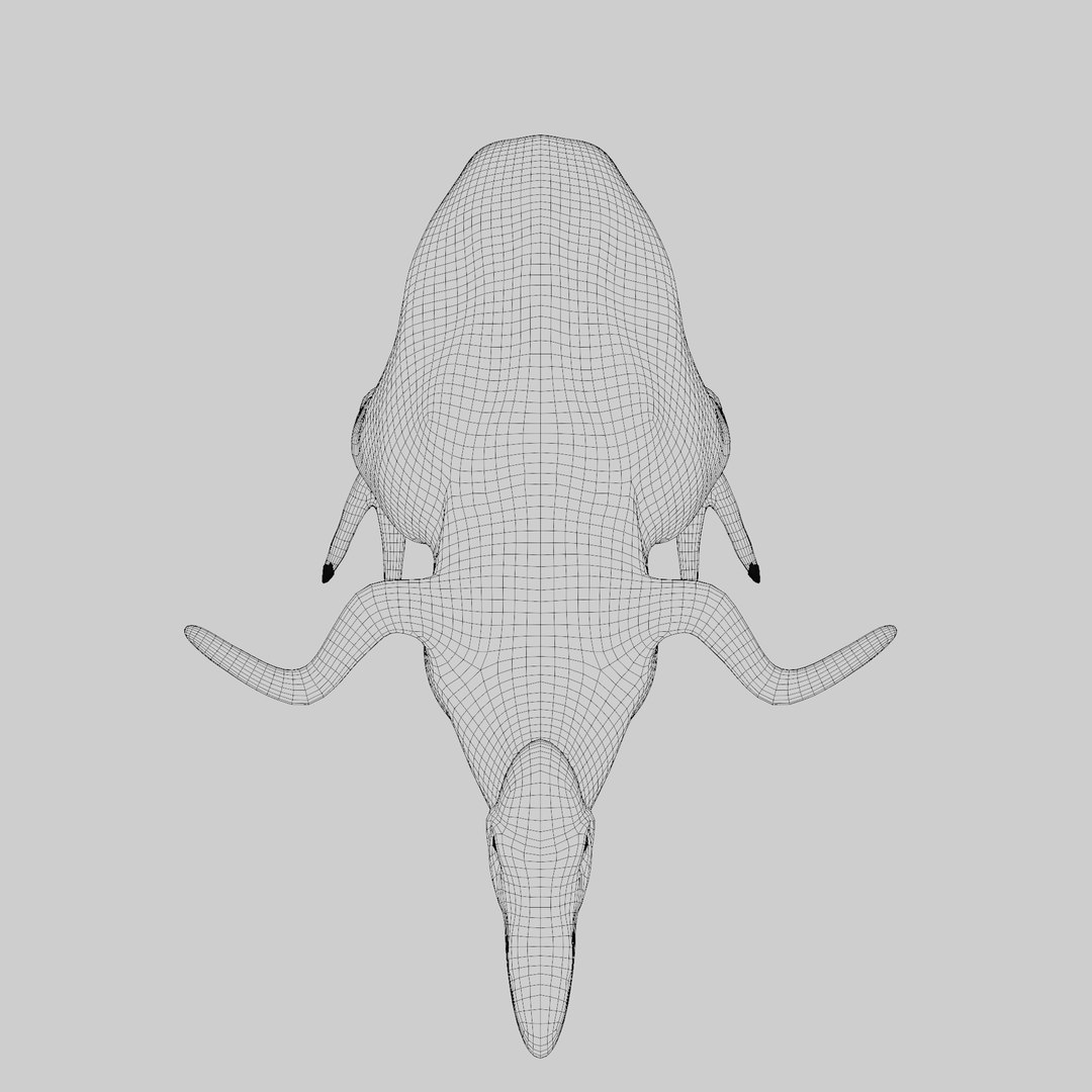 Dodo Rigged Animated 3D Model model https://p.turbosquid.com/ts-thumb/R6/NJw32V/f6/wire3/png/1707221869/1920x1080/fit_q87/8dfe34fd4b364f4c62fcf15e69675424b0c7b689/wire3.jpg