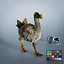 Dodo Rigged Animated