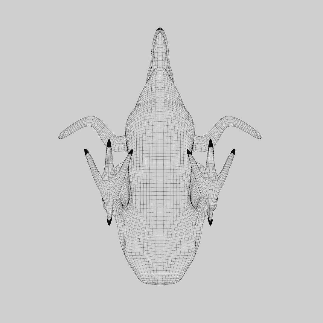 Dodo Rigged Animated 3D Model model https://p.turbosquid.com/ts-thumb/R6/NJw32V/um/wire4/png/1707221869/1920x1080/fit_q87/bb0bd3b06200a39fa33ec1b1b0b805bdcbe3e80e/wire4.jpg