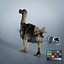 Dodo Rigged Animated