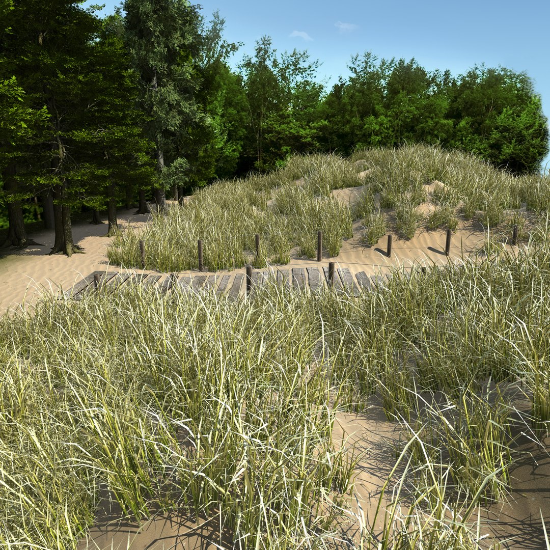 3d modeled beach model https://p.turbosquid.com/ts-thumb/R6/OoxhJd/6Krs2Bar/cam1_14/jpg/1398803492/1920x1080/fit_q87/09f1eed38d97b0745084ab4c46400d23d741eb2c/cam1_14.jpg
