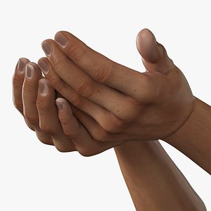 3D Man Hands Palms Together model