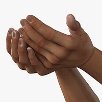 Man Hands Palms Together