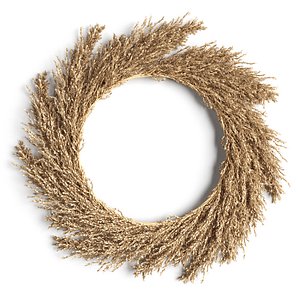 wreath pampas model