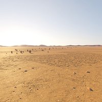 Desert Environment Landscape