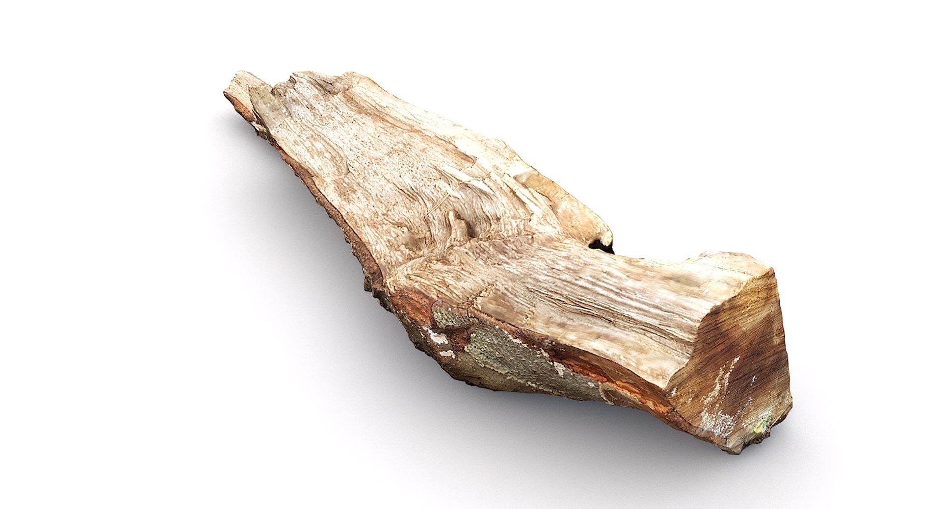 Scan wood log model - TurboSquid 1248569