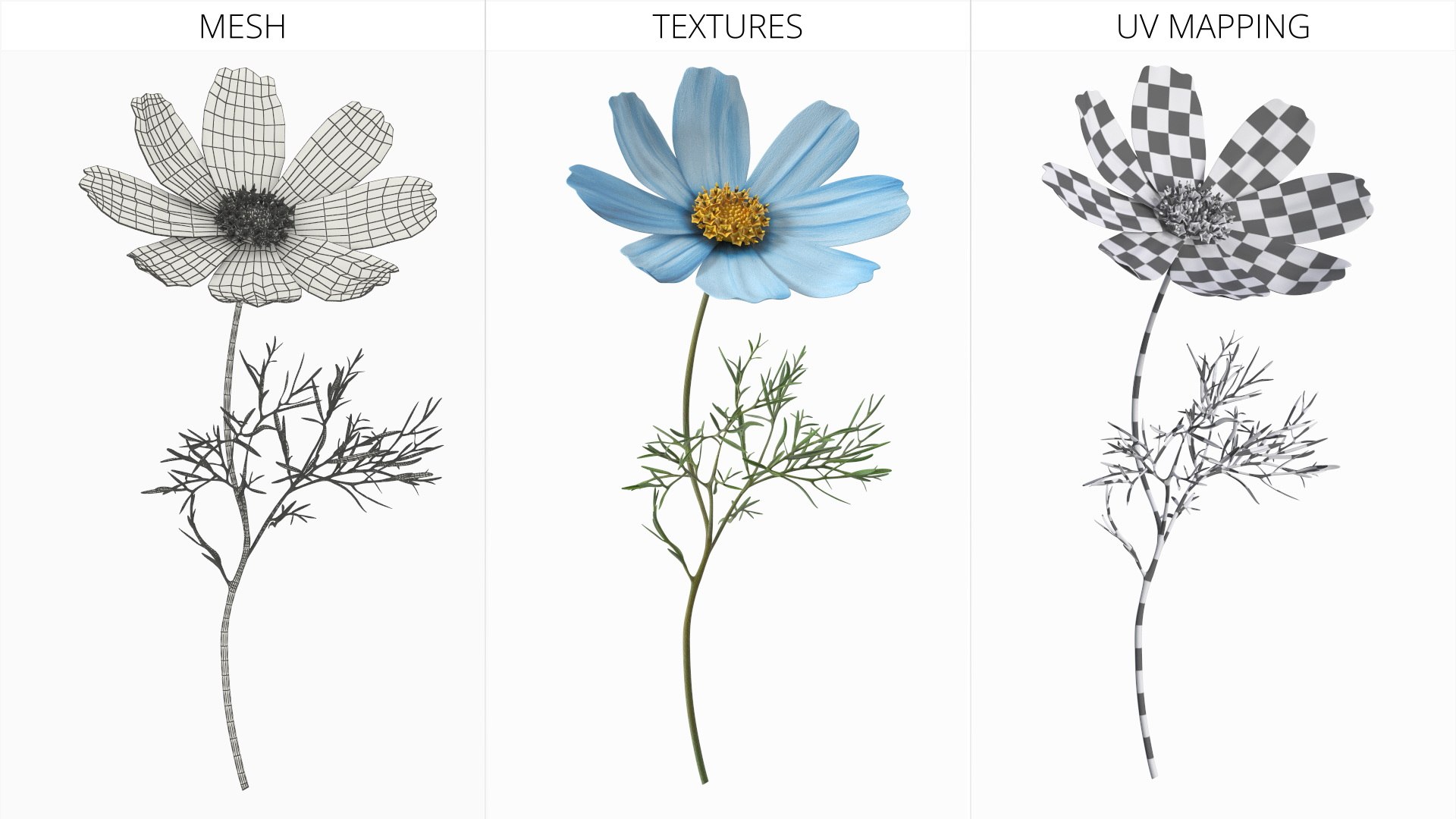 Cosmos Plant Single Flower Light Blue 3D model https://p.turbosquid.com/ts-thumb/R6/tph8MG/WT/cosmos_plant_single_flower_light_blue_009/jpg/1766164003/1920x1080/fit_q87/95e5a6f00b36fb8d7989987e58a4b44dd5caa501/cosmos_plant_single_flower_light_blue_009.jpg