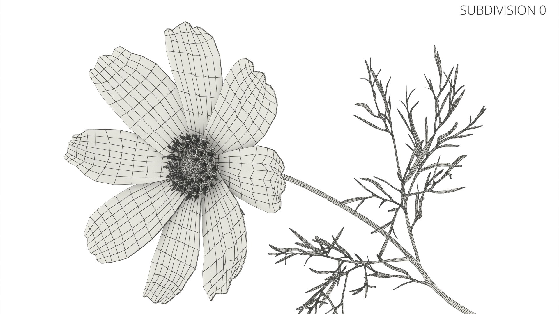 Cosmos Plant Single Flower Light Blue 3D model https://p.turbosquid.com/ts-thumb/R6/tph8MG/mn/cosmos_plant_single_flower_light_blue_010/jpg/1766164006/1920x1080/fit_q87/65ee6377f967f59509f8fd8e2c619e8206905b2a/cosmos_plant_single_flower_light_blue_010.jpg