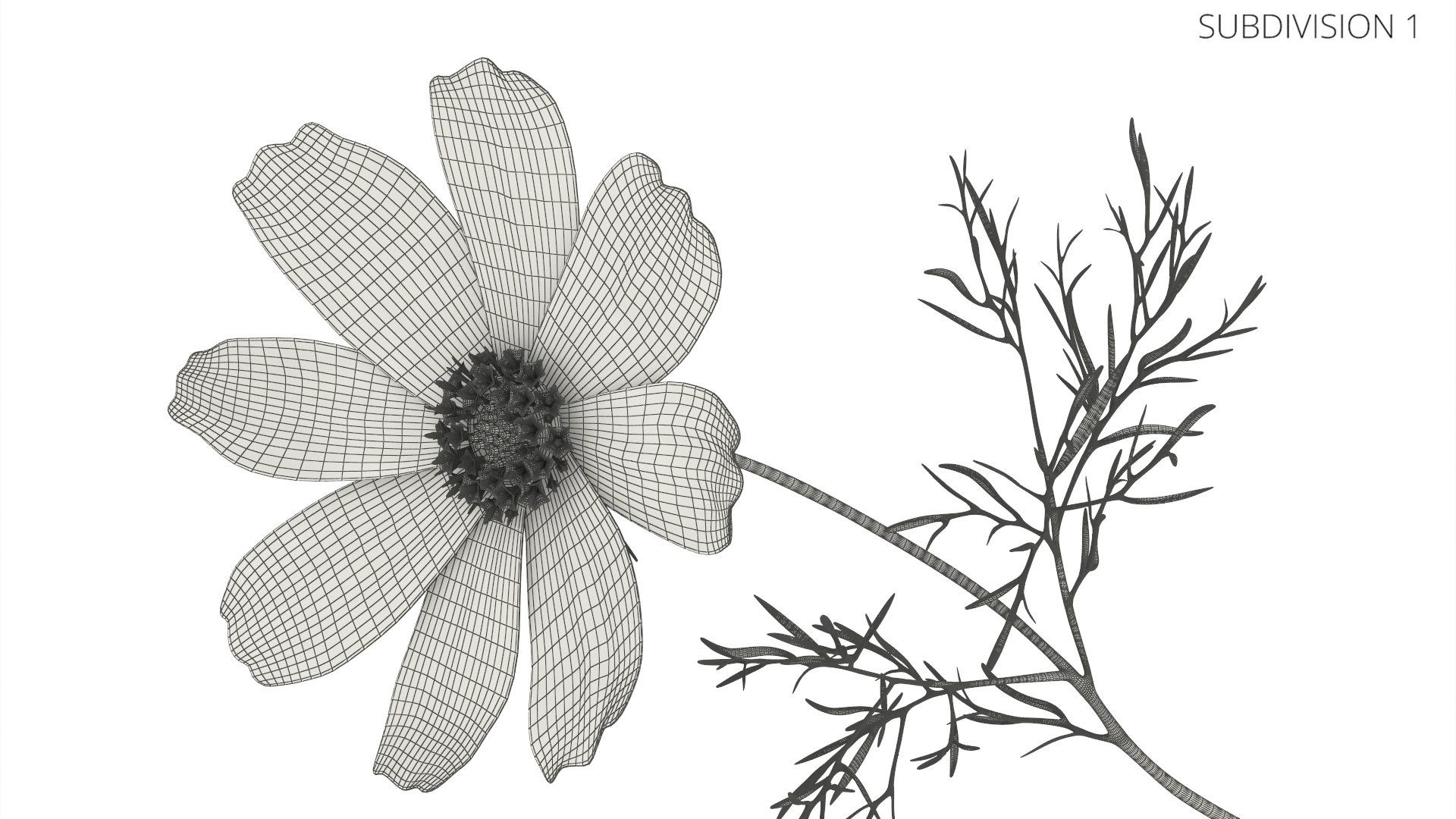 Cosmos Plant Single Flower Light Blue 3D model https://p.turbosquid.com/ts-thumb/R6/tph8MG/op/cosmos_plant_single_flower_light_blue_011/jpg/1766164009/1920x1080/fit_q87/5cd67bf74aae181104b8615b7f59d6e091204f10/cosmos_plant_single_flower_light_blue_011.jpg