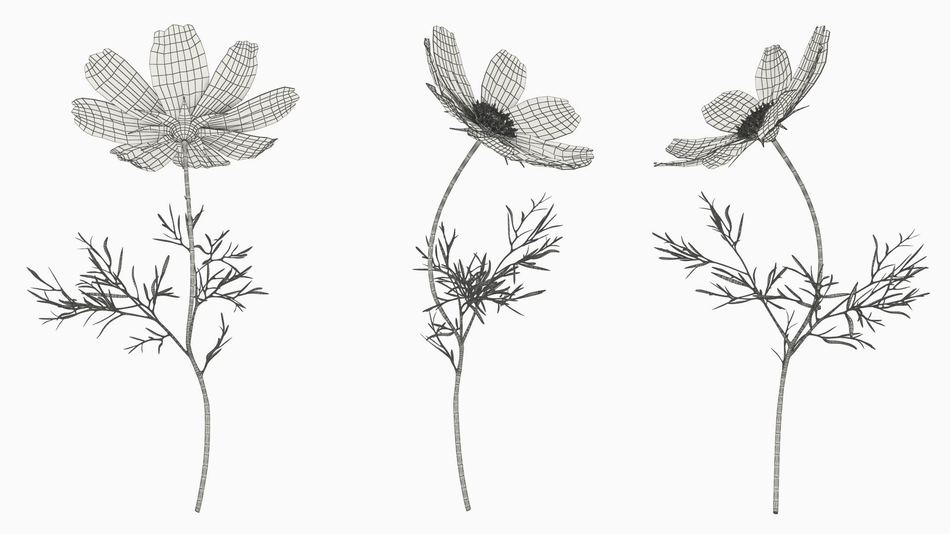 Cosmos Plant Single Flower Light Blue 3D model https://p.turbosquid.com/ts-thumb/R6/tph8MG/sl/cosmos_plant_single_flower_light_blue_012/jpg/1766164013/1920x1080/fit_q87/b291f45954362c6bb747905c5574b9b0a95ee5f5/cosmos_plant_single_flower_light_blue_012.jpg