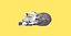 Rolling and tumbling Calico cat
