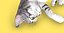 Rolling and tumbling Calico cat