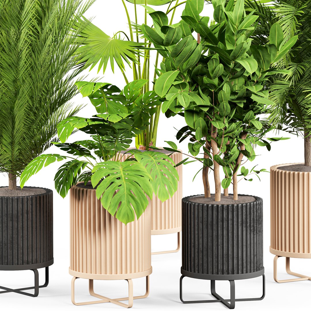 3D indoor Plant Set 06 https://p.turbosquid.com/ts-thumb/R7/Ie4LXn/Dr/2/jpg/1685421898/1920x1080/fit_q87/610db740064d728035934ba033edbc10b05051f3/2.jpg