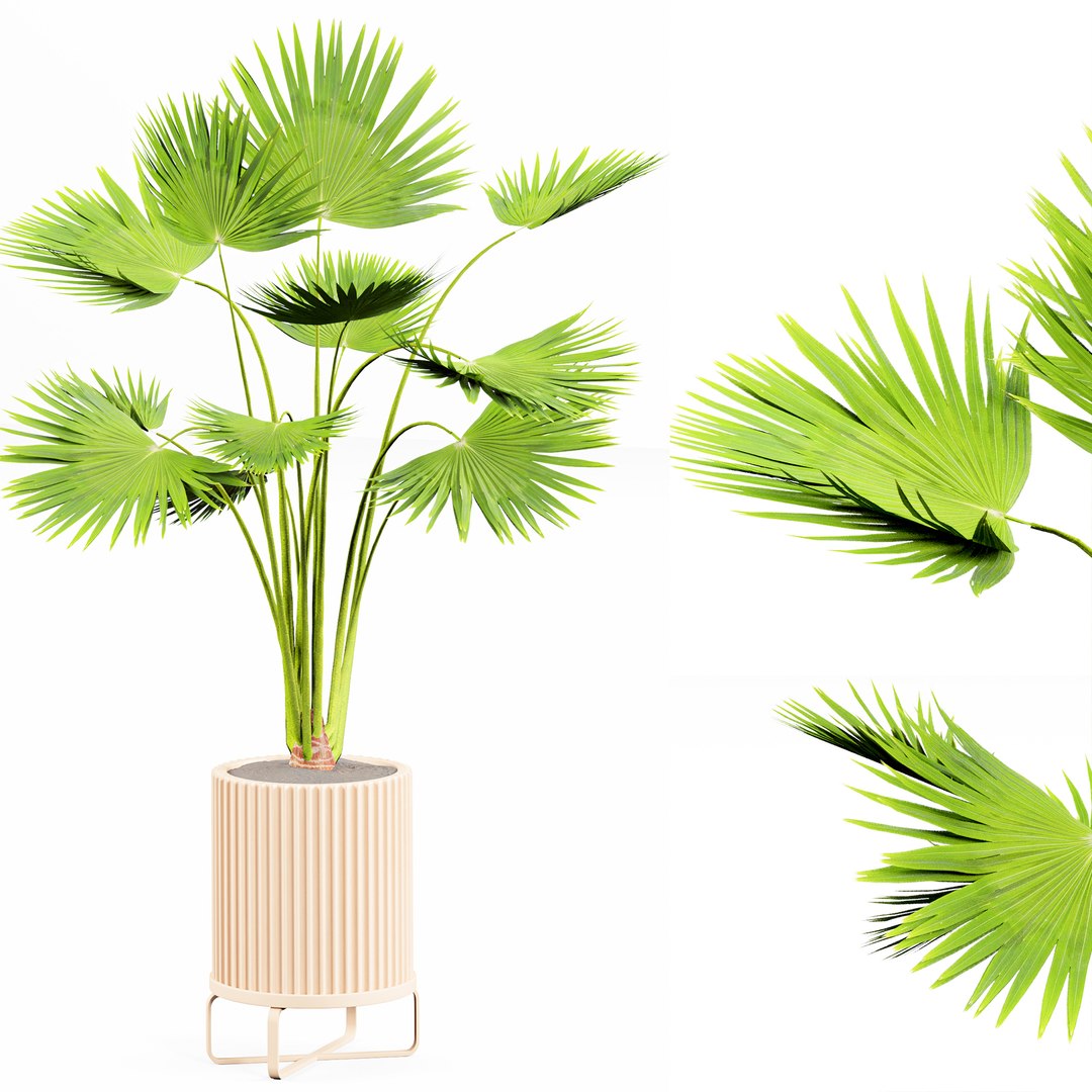 3D indoor Plant Set 06 https://p.turbosquid.com/ts-thumb/R7/Ie4LXn/Ge/4/jpg/1685421876/1920x1080/fit_q87/422b7676ad6d72e601da83c4af779829d9008c35/4.jpg
