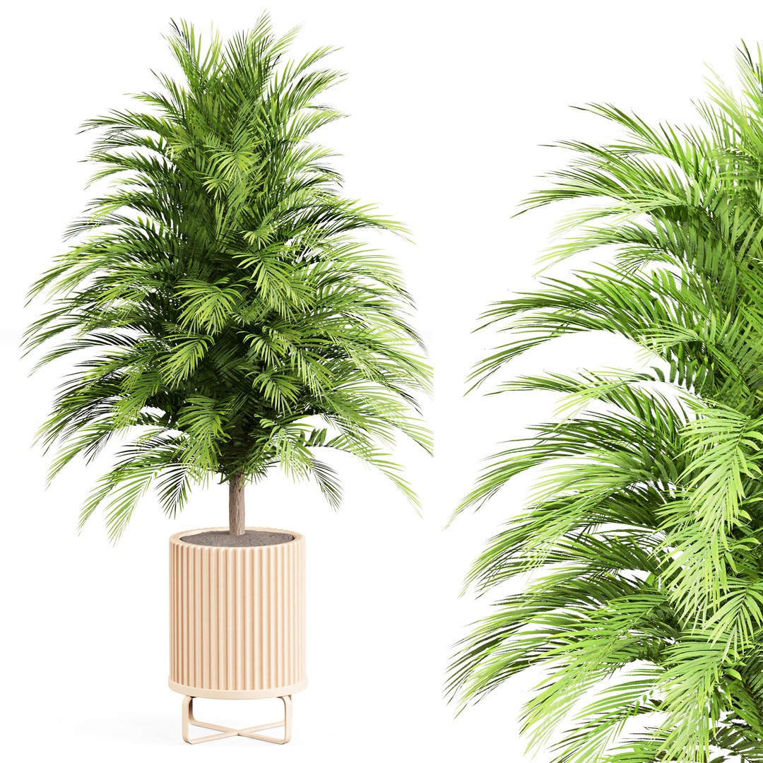 3D indoor Plant Set 06 https://p.turbosquid.com/ts-thumb/R7/Ie4LXn/ey/5/jpg/1685421906/1920x1080/fit_q87/54648912a24e185afcc710d9bfa0ea5c838a21d0/5.jpg