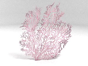3ds max fan coral