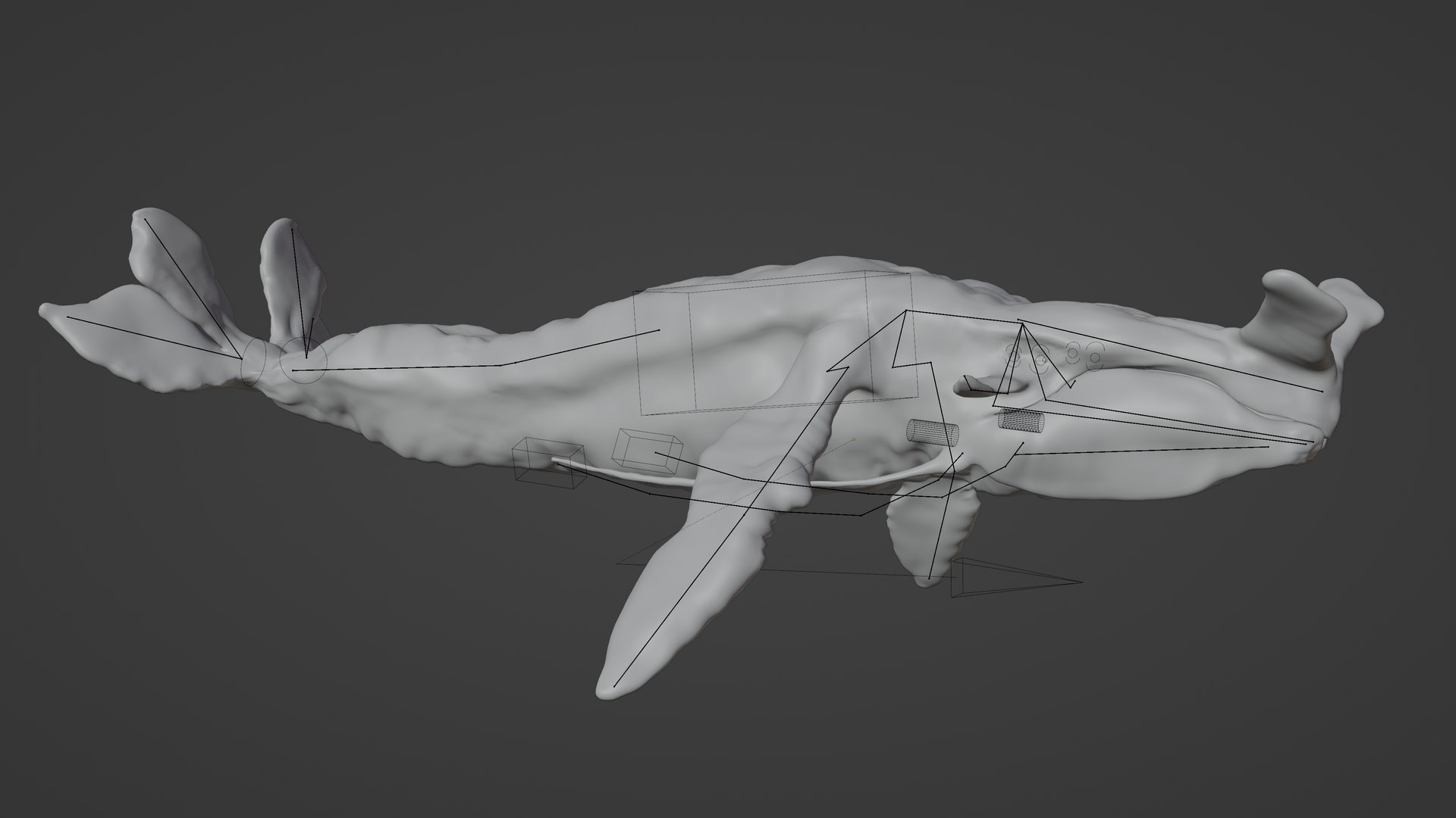 3D Tulkun Animated Rigged 3D Model inspired by Avatar The Way of Water ...