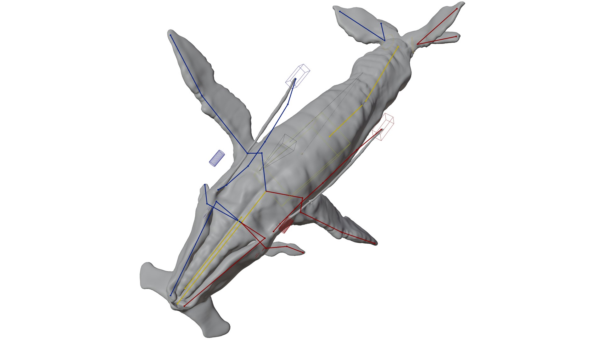 3D Tulkun Animated Rigged 3D Model Inspired By Avatar The Way Of Water ...