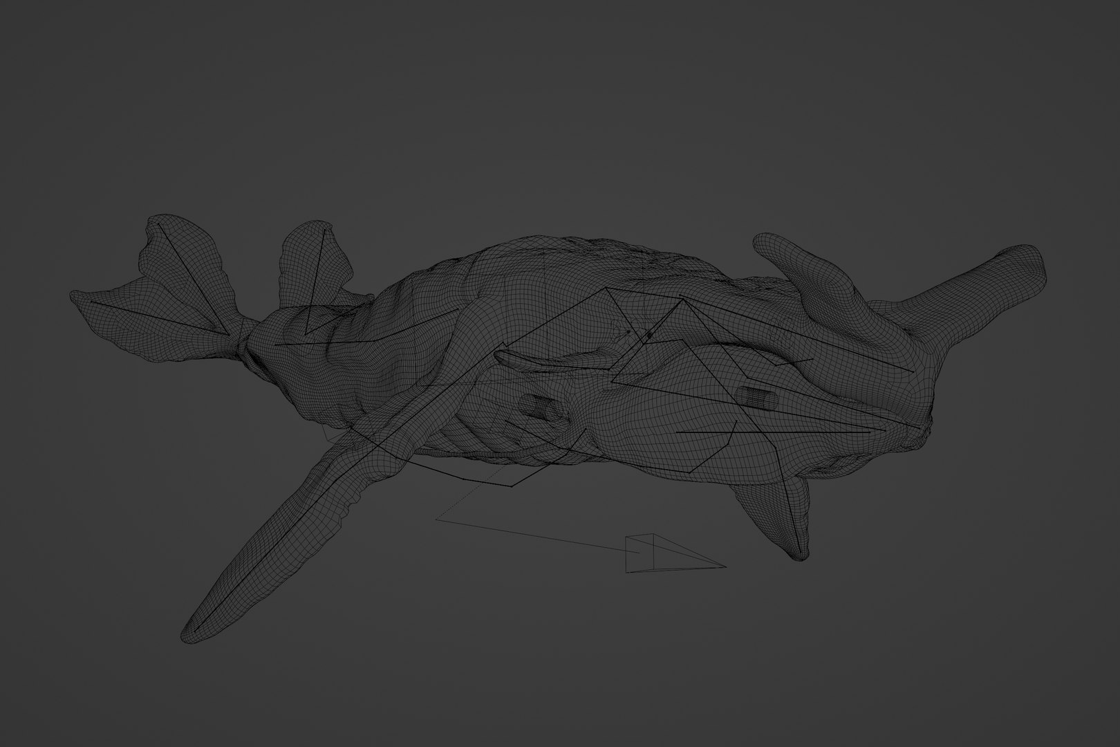 3D Tulkun Animated Rigged 3D Model inspired by Avatar The Way of Water ...