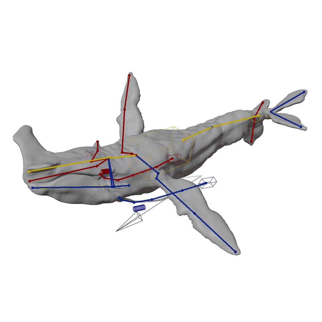 3D Tulkun Animated Rigged 3D Model Inspired By Avatar The Way Of Water ...