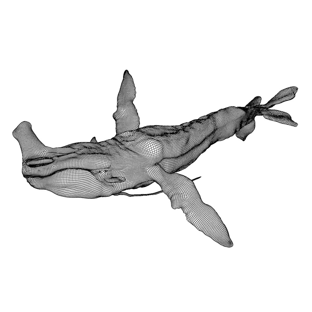3D Tulkun Animated Rigged 3D Model Inspired By Avatar The Way Of Water ...