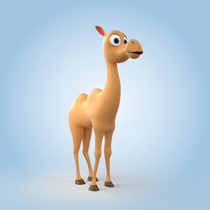 Camel model