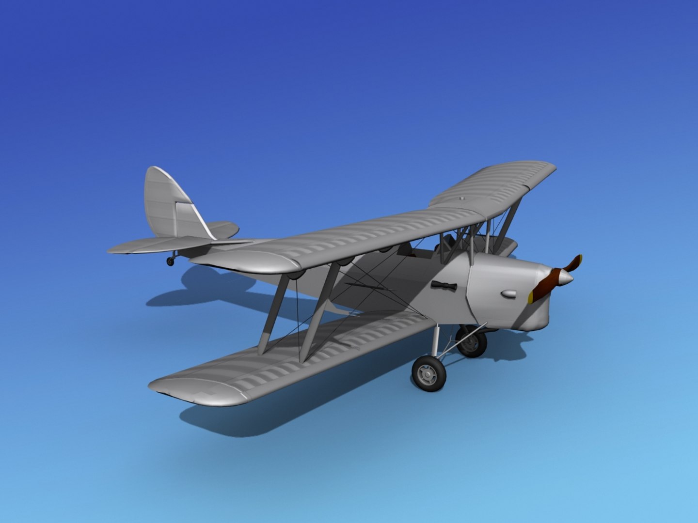 Tiger Moth 3d Model