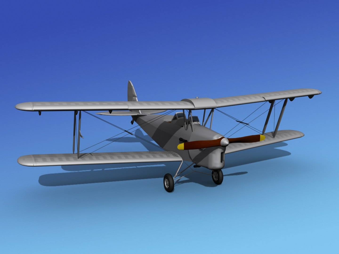 Tiger Moth 3d Model