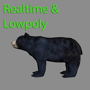 3d model black bear