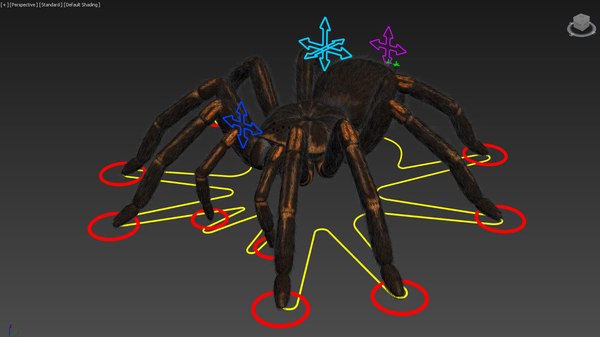 modelo 3d Tarántula, aparejada, animada, texturas 4K PBR - TurboSquid ...
