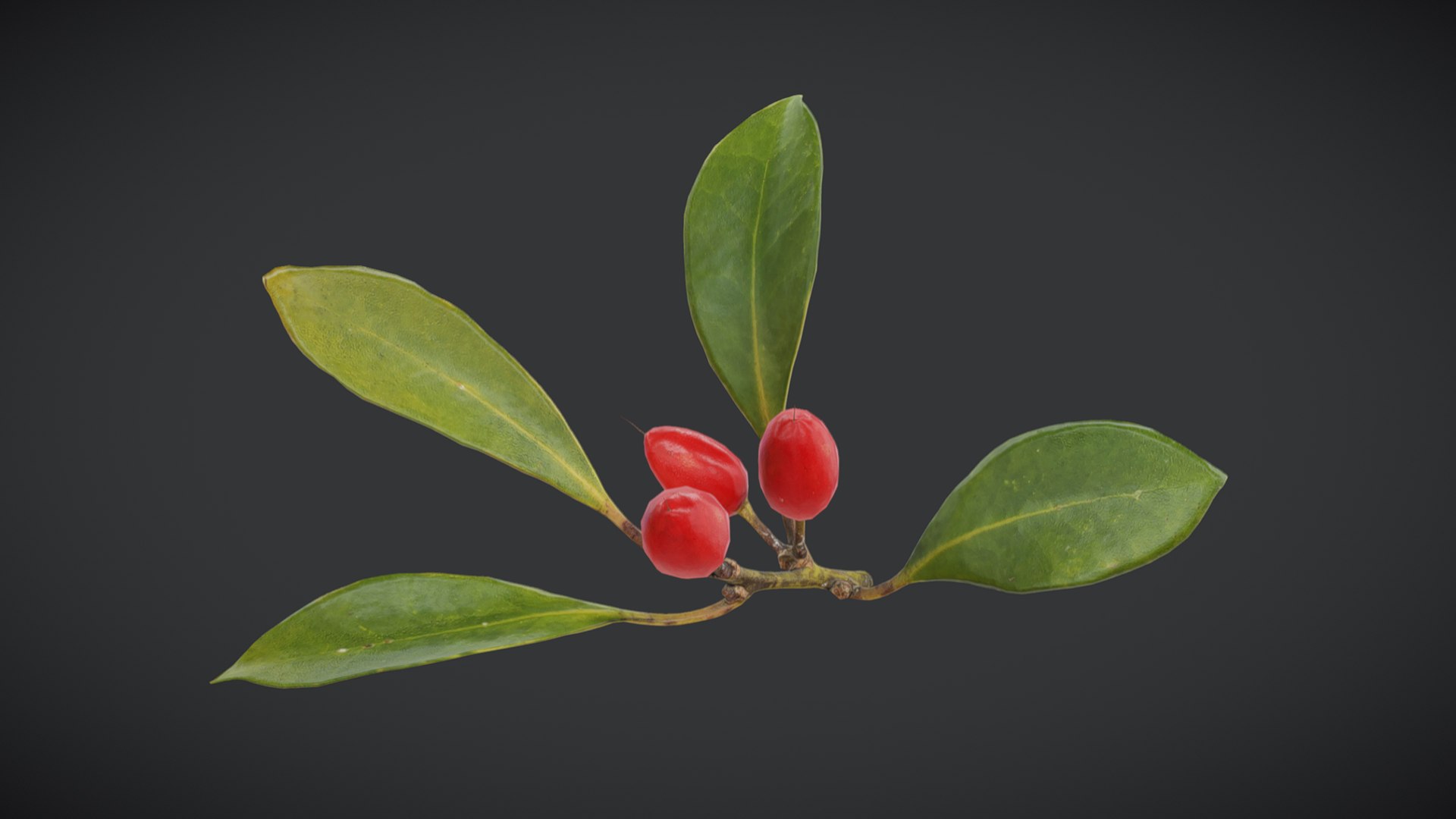 3D Fruit Miracle Low Poly https://p.turbosquid.com/ts-thumb/R8/5HDyIn/PQ/fruitmiraclelowpoly005/jpg/1741596166/1920x1080/fit_q87/98d9ff08a524c8fb28ea1804cdd5b7376fd54185/fruitmiraclelowpoly005.jpg