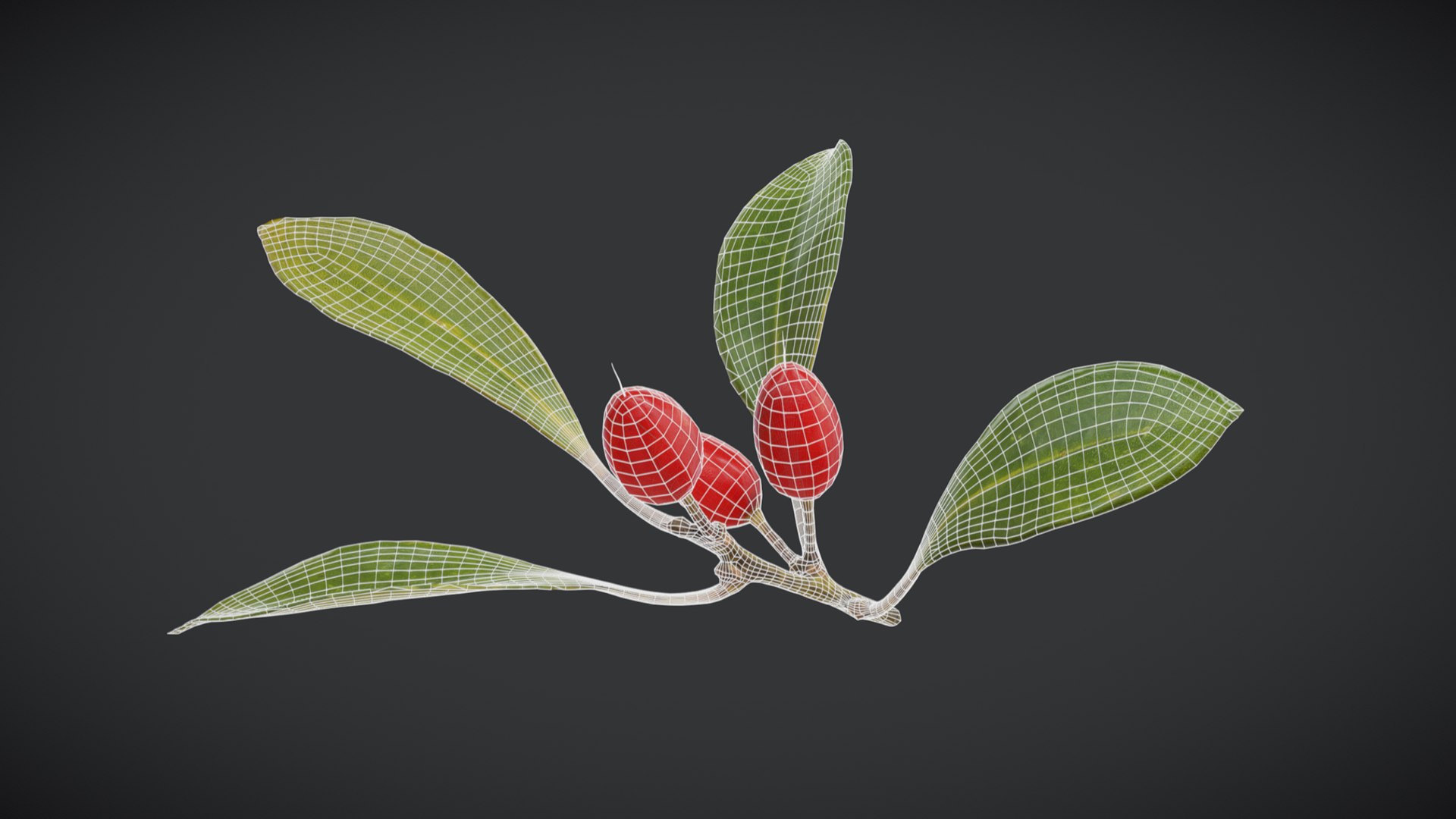 3D Fruit Miracle Low Poly - TurboSquid 2371550