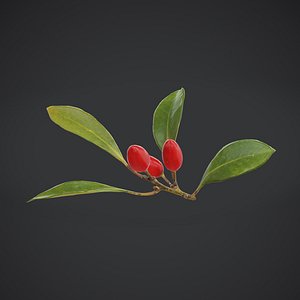 Fruit Miracle Low Poly