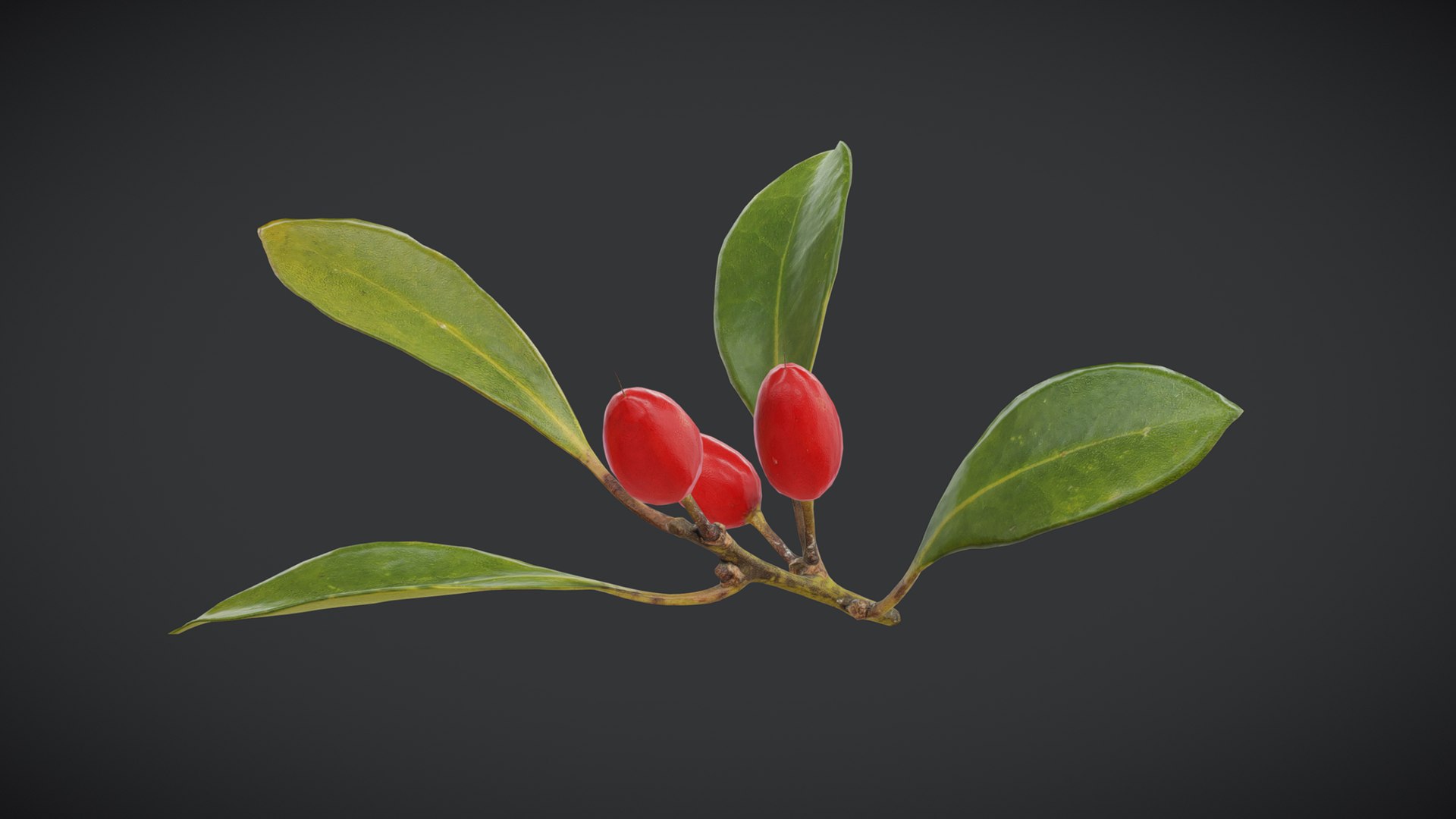 3D Fruit Miracle Low Poly https://p.turbosquid.com/ts-thumb/R8/5HDyIn/gq/fruitmiraclelowpoly001/jpg/1741596162/1920x1080/fit_q87/21786301571302d73c544a554be0a8b9fa9ea06f/fruitmiraclelowpoly001.jpg