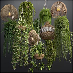 Rattan Pendant lights with hanged Plants model