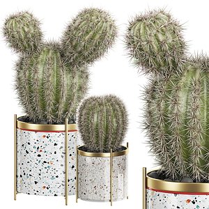 3D potted plant 21