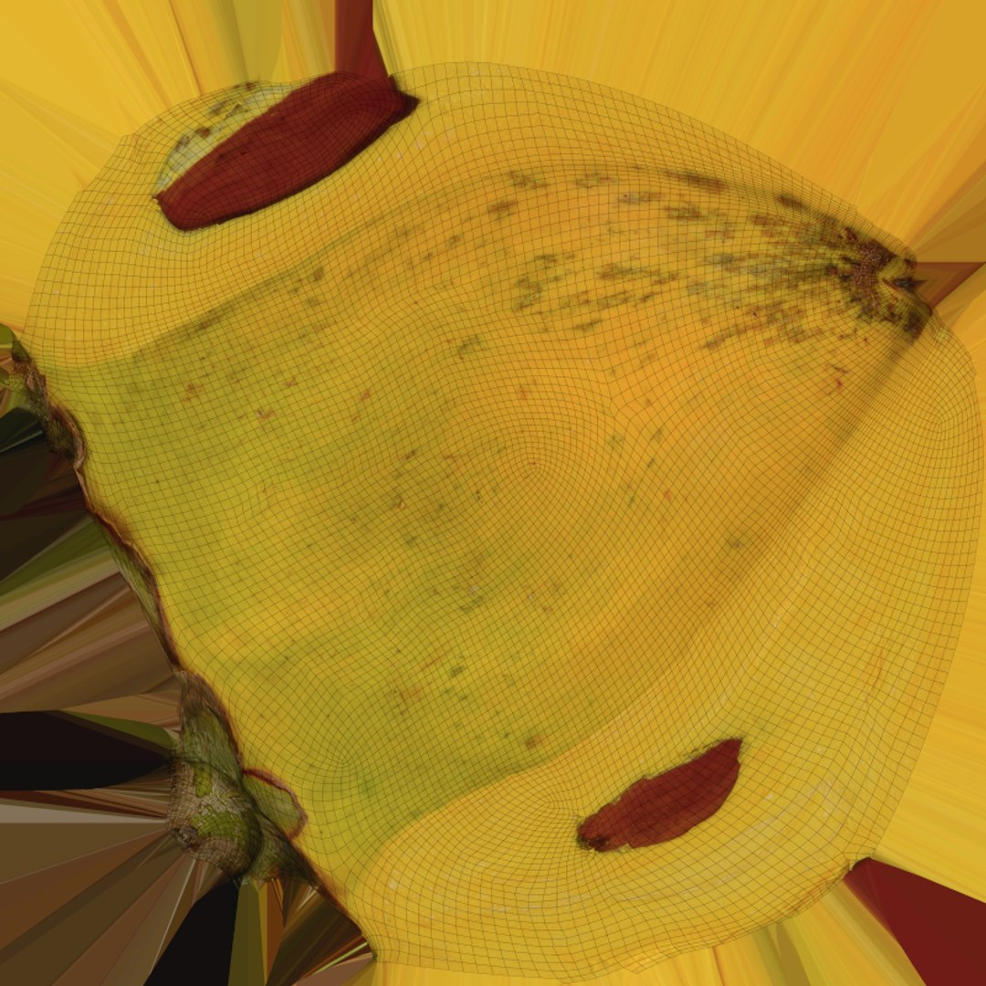 Half Eggfruit - 3D Scanned 3D model https://p.turbosquid.com/ts-thumb/R8/Sw0uH9/S5/tiesahalf_e0004/png/1783196637/1920x1080/fit_q87/45e741c9f33aeaa8fc549bedba26c20a801fe672/tiesahalf_e0004.jpg