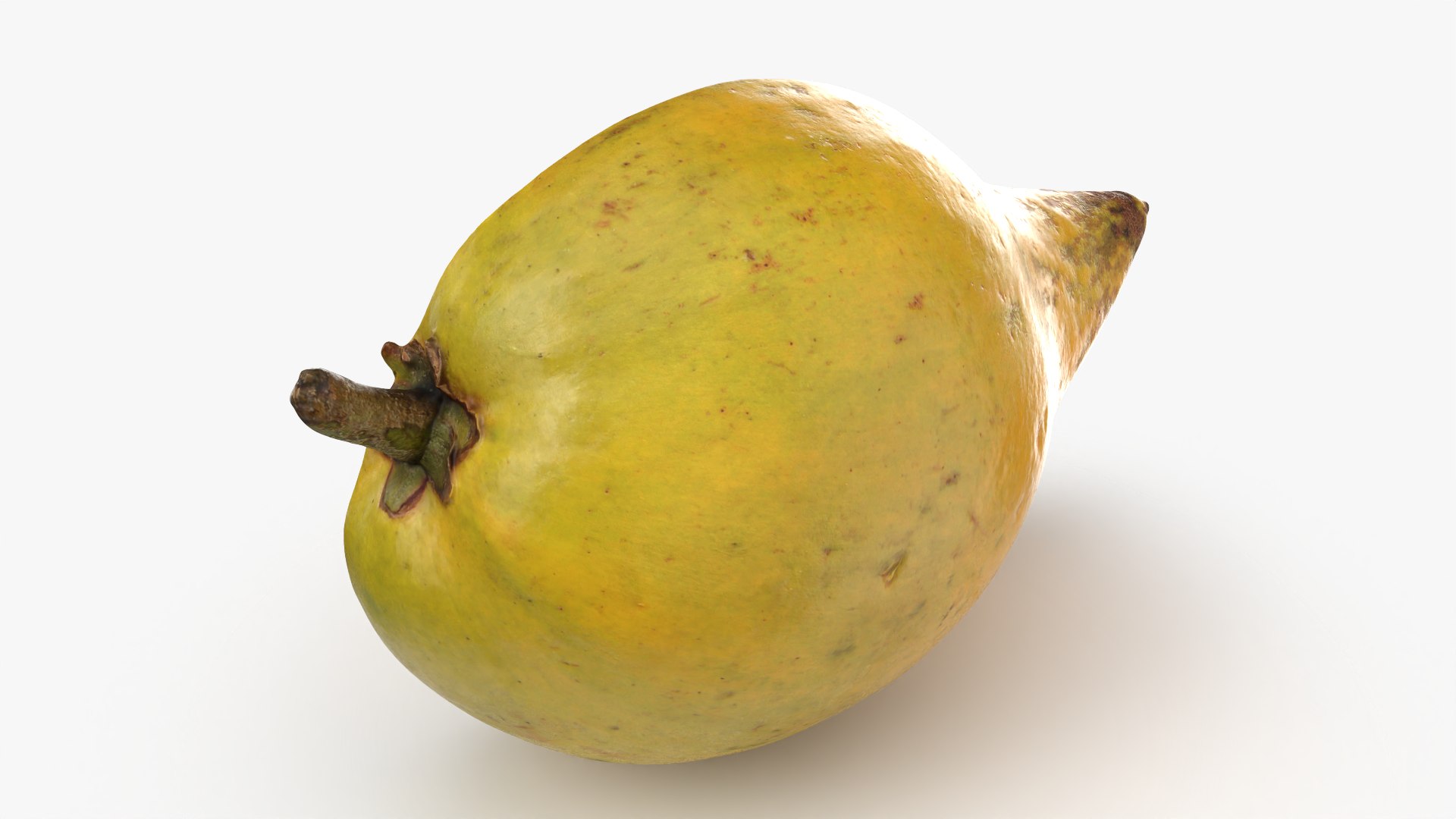 Half Eggfruit - 3D Scanned 3D model https://p.turbosquid.com/ts-thumb/R8/Sw0uH9/pe/tiesahalf_0008/png/1783196632/1920x1080/fit_q87/ff82e660f92c684a42e408df01d0880cb43c94fe/tiesahalf_0008.jpg