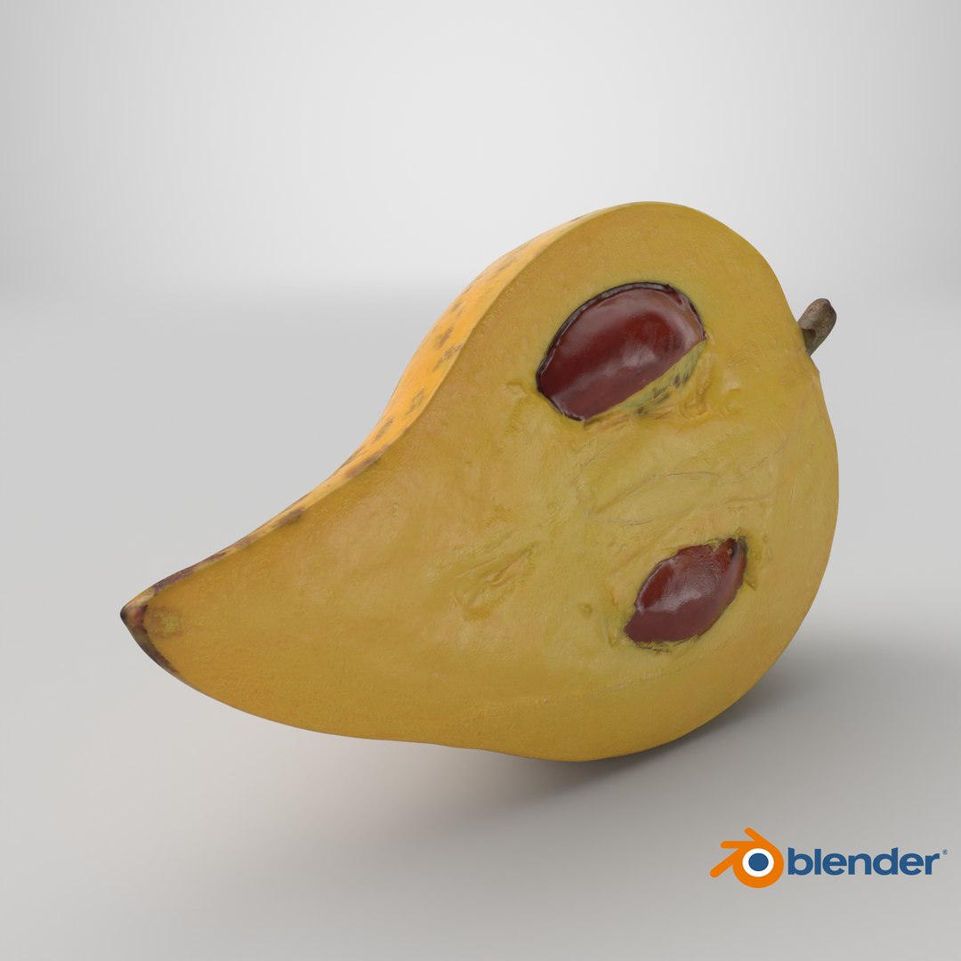 Half Eggfruit - 3D Scanned 3D model https://p.turbosquid.com/ts-thumb/R8/Sw0uH9/sl/stemcell_blender_cycles_render/png/1783623409/1920x1080/fit_q87/b00756c56806e4d29651e8f03c5551089cc5f768/stemcell_blender_cycles_render.jpg